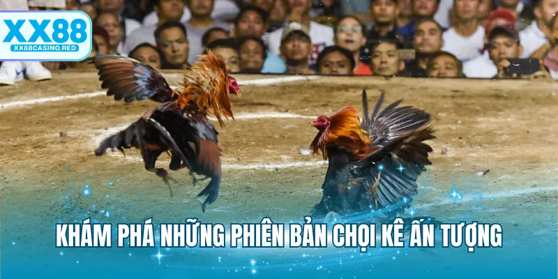 Khám phá những phiên bản chọi kê ấn tượng