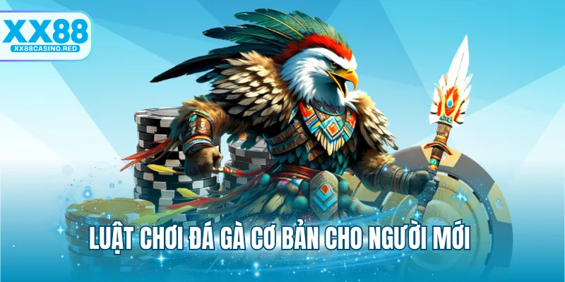 Luật chơi đá gà cơ bản cho người mới tại XX88