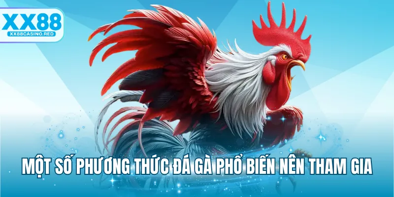 Một số phương thức đá gà phổ biến nên tham gia