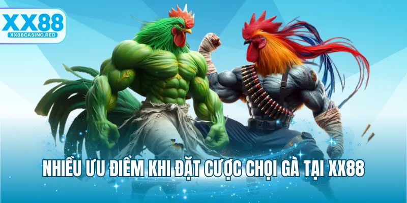Nhiều ưu điểm khi đặt cược chọi gà tại XX88