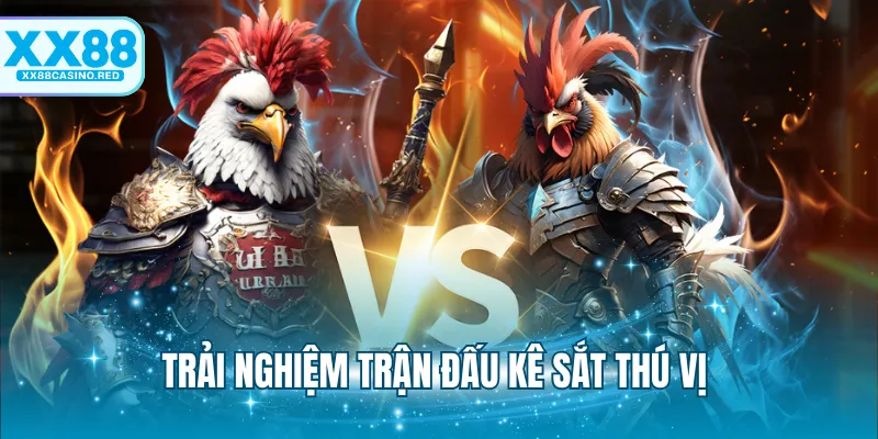 Trải nghiệm trận đấu kê cựa sắt thú vị